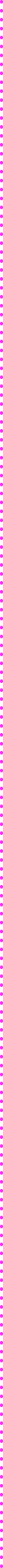 rodmap's dotted vertical line
